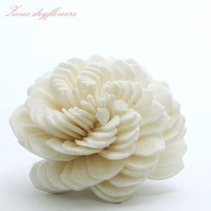 Ensemble de diffuseur de parfum artisanal écologique pour la maison avec des fleurs en herbe de sola, un mèche en bois et en coton pour l'entrée - Product Image 1