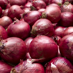 fresh onions, fresh vegetables suppliers and manufacturers