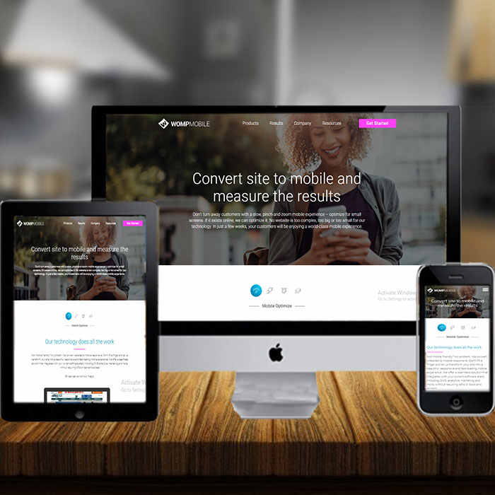 PHP/ Wordpress Web Developers | Best PHP/ Wordpress Web Developers Services by ProtoLabz EServcies