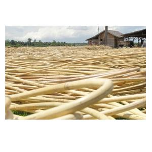 Ratán Crudo Amarillo y Caña Cruda Fresca a Precio Económico para Muebles de Interior, Tamaños Personalizados, de Vietnam - Product Image 1