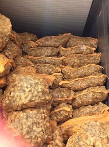 Gingembre frais de bonne qualité / Tranches de gingembre surgelées au Vietnam - Product Image 4