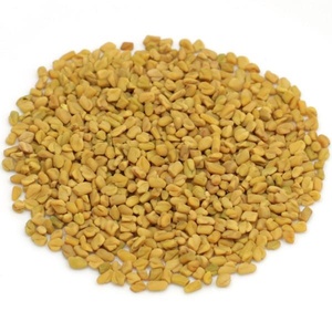 Best Price 99% Pure Organic Hygienic Fenugreek Seed Singapore Europe Quality Dried <b>Herb</b> Granule Pattern Quality <b>Spice</b> <b>Product</b> - Product Image 1