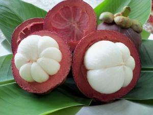 Fresh Mangosteen in Viet Nam/ High Quality/ Sweet - Product Image 3