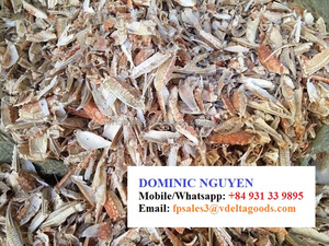 Concha de cangrejo rota, de Vietnam - Product Image 4