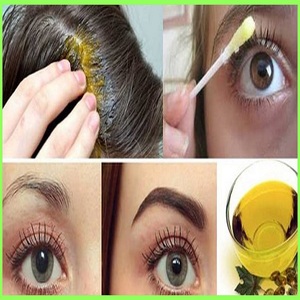 Aceite de Ricino (Ricinus Communis) Prensado en Frío con Certificación GMP |   Precio al por Mayor |   Suministro a Granel desde India |   Semillas Extraídas - Product Image 5