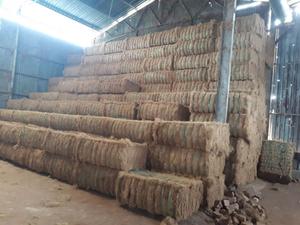 Machine à fibres de noix de coco naturelle/fibres de coco de noix de coco - Product Image 5