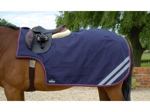 Fabricante Mayorista de Mantas de Ejercicio para Caballos de Alta Calidad Modelo AIES-003 Primavera y Otoño - Product Image 2