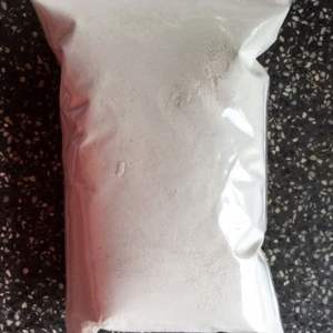 <b>Supplying</b> Dried Cuttlefish Bone/frozen Cuttlefish Powder for Bird at REASONABLE PRICE From Vietnam - Product Image 4