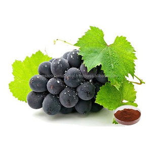 Aromaaz น้ำมันเมล็ดองุ่นแบบบีบอัดเย็นน้ำมันบริสุทธิ์100% ได้รับการรับรองจาก GMP สำหรับการส่งออกจำนวนมาก - Product Image 4