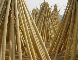 Bamboo Bamboo Bamboo Craft Very Cheap of Bamboo <b>Ladder</b>/Bamboo <b>Ladder</b> Prices - Product Image 4