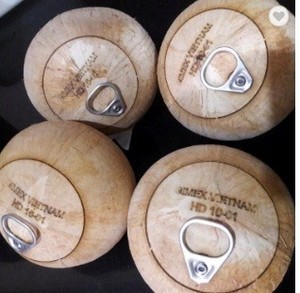 Dừa Tươi trẻ từ Việt Nam giá tốt nhất và chất lượng với hàm lượng bột giấy cao - Product Image 2