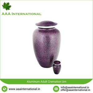 Urnas Funerarias de Plata Estilo Americano para Cenizas de Adultos - Product Image 6