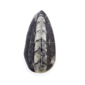 Orthoceras-GEMA de jaspe, 40x18mm, cabujón de pera, 36,50 cts, Gema suelta para joyería - Product Image 1
