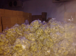 Importador de carne de durián IQF en 2020 - Product Image 6