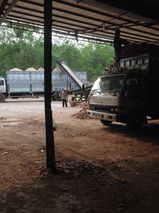 HOT HOT !!! Les copeaux de bois de qualité supérieure du VIETNAM avec des normes d'exportation élevées et des prix compétitifs en 2023 [bon choix pour vous] - Product Image 4