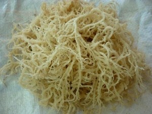 Fournisseur de poudre d'algues de haute qualité pour engrais du sol à PRIX BAS en provenance du Vietnam - Product Image 6