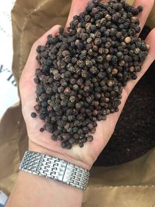 พริกไทยดำ550GL ทำความสะอาด, ASTA, เครื่องทำความสะอาด - Product Image 3