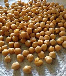 Garbanzos Kabuli Orgánicos Secos Disponibles a Granel. Realice sus pedidos ahora - Product Image 1
