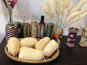 FOURNISSEUR ÉPONGES LOOFAH/ LUFFA AVEC BON PRIX ET HAUTE QUALITÉ - Product Image 5