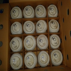 Noix de coco fraîche facile à utiliser, ouverture en noix de coco avec moule - Product Image 1