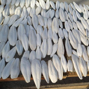DRIED CUTTLEFISH BONE MANY SIZE REASONABLE PRICE / BLISTER PACK CALCIUM CUTTLEFISH BONE HIGH - QUALITY / Shyn Tran - Product Image 4