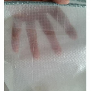 Bâche en PE <span class=keywords><strong>transparente</strong></span> de 140 g/m², plastique renforcé, protection contre la pluie ou la grêle - Product Image 3