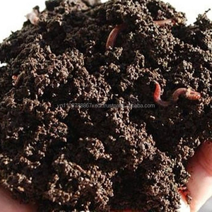 थोक VERMICOMPOST FERTILIZER-केंचुए खाद/कार्बनिक वियतनाम से vermicompost - Product Image 3