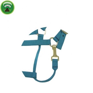 อุปกรณ์ขี่ม้าแบบกำหนดเอง PP Breathable Horse Halter - Product Image 3