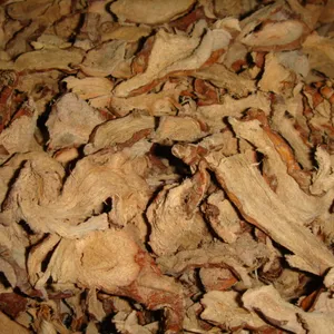 Dried galangal root / Fresh galangal roots from Vietnam export