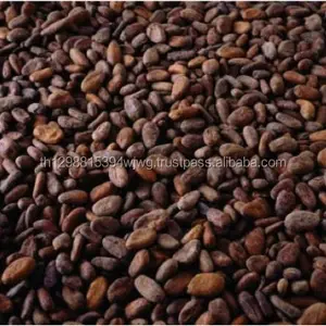 Высококачественные сушеные ферментированные какао бобы по очень хорошим ценам