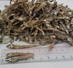 Pescado de anchoa seco sin cabeza, 100% orgánico - Product Image 2