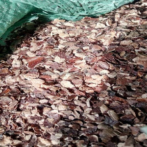 CASQUILLO 3mm up Exportación Pellets directos Fábrica Producto de desecho agrícola Propósito de bronceado 10% Humedad GIA NGUYEN - Product Image 1