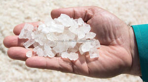 Sel industriel de chlorure de sodium de qualité supérieure (NaCl) - Product Image 6