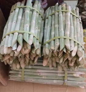 Üst ürün prim dondurulmuş İneklerde, orijinal tat, en iyi meyve suyu-en ucuz fiyat şeker kamışı sopa VIETNAM - Product Image 1