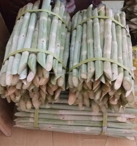 TOP PRODUCE Premium frozen peeled sugar cane, original taste, best for juice - CHEAPEST PRICE SUGARCANE STICK FROM VIETNAM