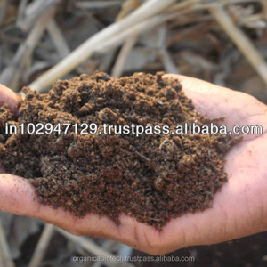 Élimination rapide des résidus, 30 ml, stérilisation dans le statuette - Product Image 1