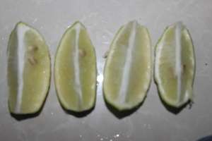   Limón Fresco Premium, Sabor Ácido Natural, Color Verde Claro, Fruta Cítrica - Product Image 6