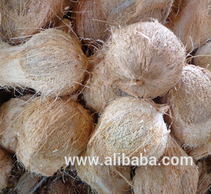 De coco semi descascarillado/semi descascarillado de coco - Product Image 1