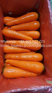 แครอทสดแครอทกรอบอร่อยวันหยุดแครอทเวียดนาม - Product Image 4