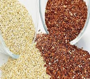 ผลไม้ quinoa บริสุทธิ์100% จากอินเดีย - Product Image 2