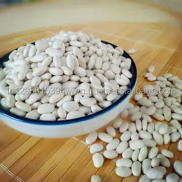 Kacang Merah Putih/Kacang Makanan Kalengan/Alubia/Vanilla