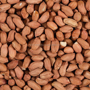 Avellanas Secas Orgánicas de Alta Calidad con Certificación ISO, 10 kg/caja - Product Image 4