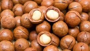 Noix de macadamia torréfiées premium du Vietnam |   Nouvelle Récolte 2026 |   En coquille et sans coquille |   Fournisseur en gros - Product Image 5