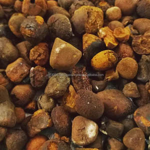 Pierres biliaires de boeuf de la meilleure qualité | Calculs biliaires de bétail | Certifié GMP | Origine ougandaise - Product Image 2