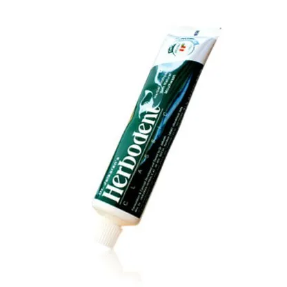 Dentifrice au gingembre, gingembre, pommade naturelle à base de plantes, organique, pour dents saines et saine