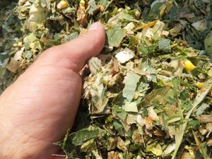 Feibon — silex-CORN en coton, de haute qualité - Product Image 6