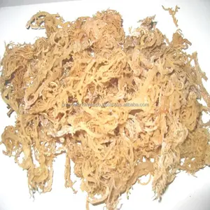 HOT SELL DRIED EUCHEUMA COTTONII SEAWEED MIT HOHER QUALITÄT UND BESTEM PREIS