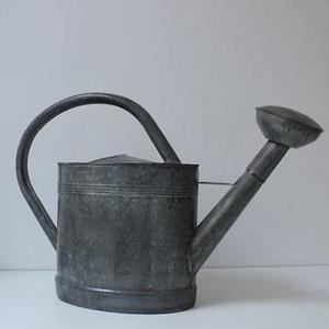 STYLES EAU GALVANISÉ FLEUR LRRIGATON PEUT CONCEPTION ANTIQUE ARROSOIR - Product Image 6