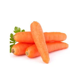Zanahoria fresca a granel, zanahoria fresca, zanahoria fresca