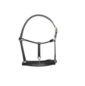 Licol en cuir de cheval de qualité supérieure en marron/noir Accessoires équins de haute qualité de fournisseurs fiables - Product Image 5